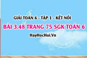 Giải bài 3.48 trang 75 Toán 6 Tập 1 SGK Kết nối tri thức